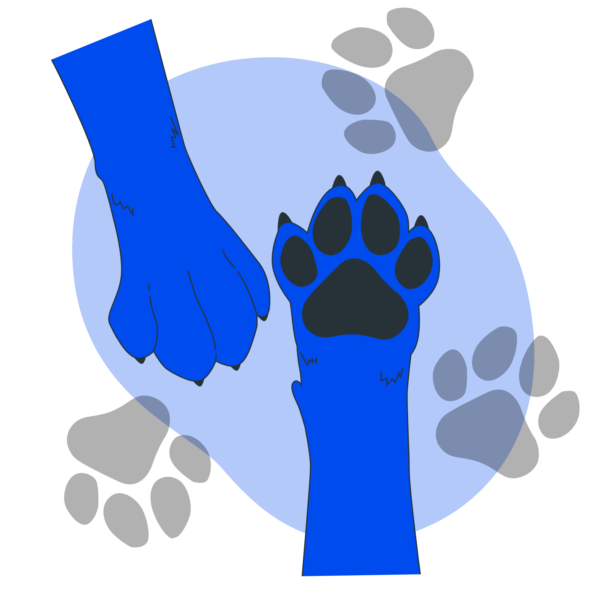 Gato recibiendo grooming en Learnsparknexus